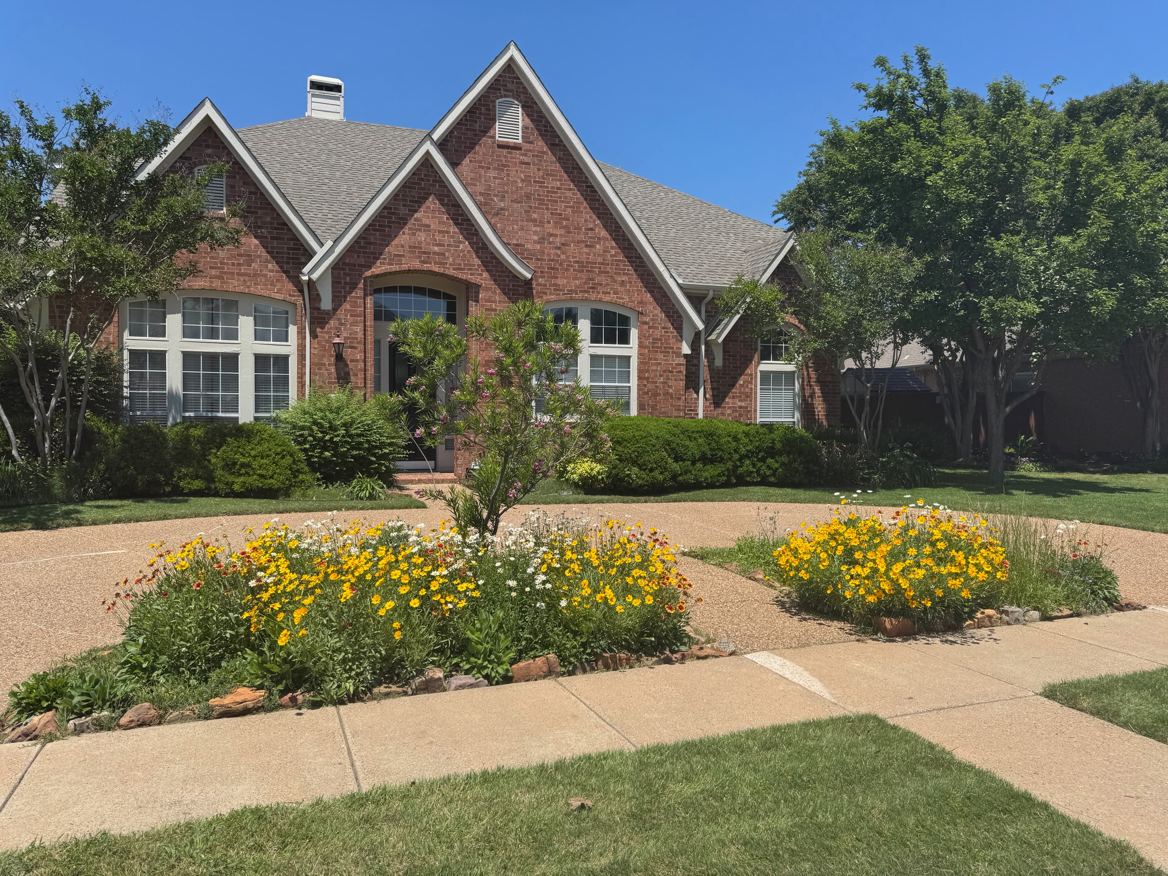 Stephen's front yard with native plantings