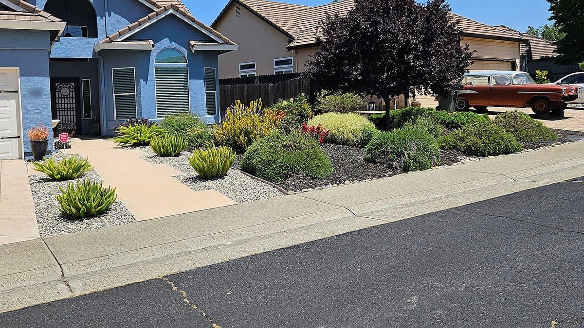 A two-story house in Roseville, California with a front yard landscaped in succulents, gravel beds, and low shrubs instead of a lawn, with a vintage car parked in the driveway