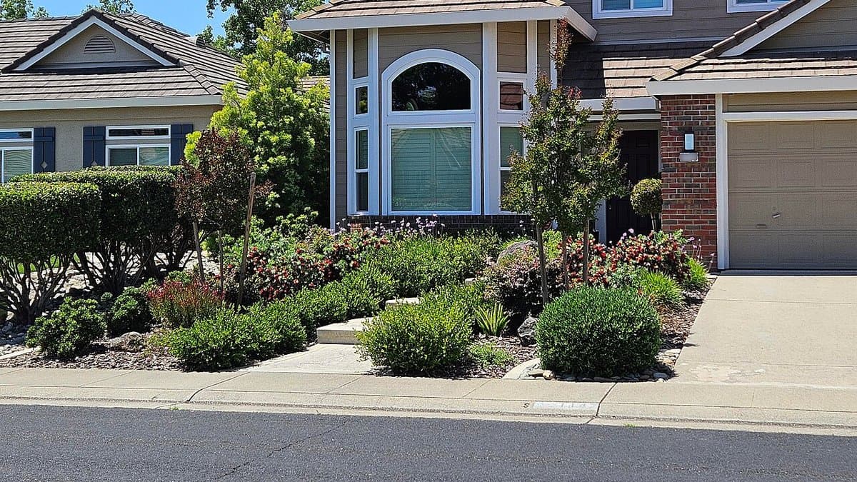 A two-story house in Roseville, California with a front entry framed by a mixed bed of flowering shrubs and small trees instead of a lawn