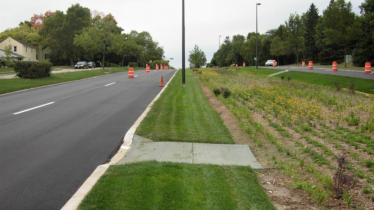 A street with a mowed grass strip along the sidewalk and a wide planted swale of native perennials behind it