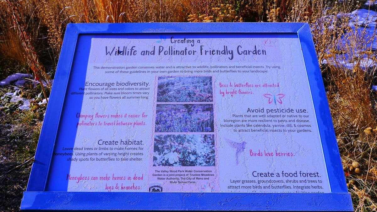 A blue-framed interpretive sign titled Creating a Wildlife and Pollinator Friendly Garden standing in a bed of purple flowers
