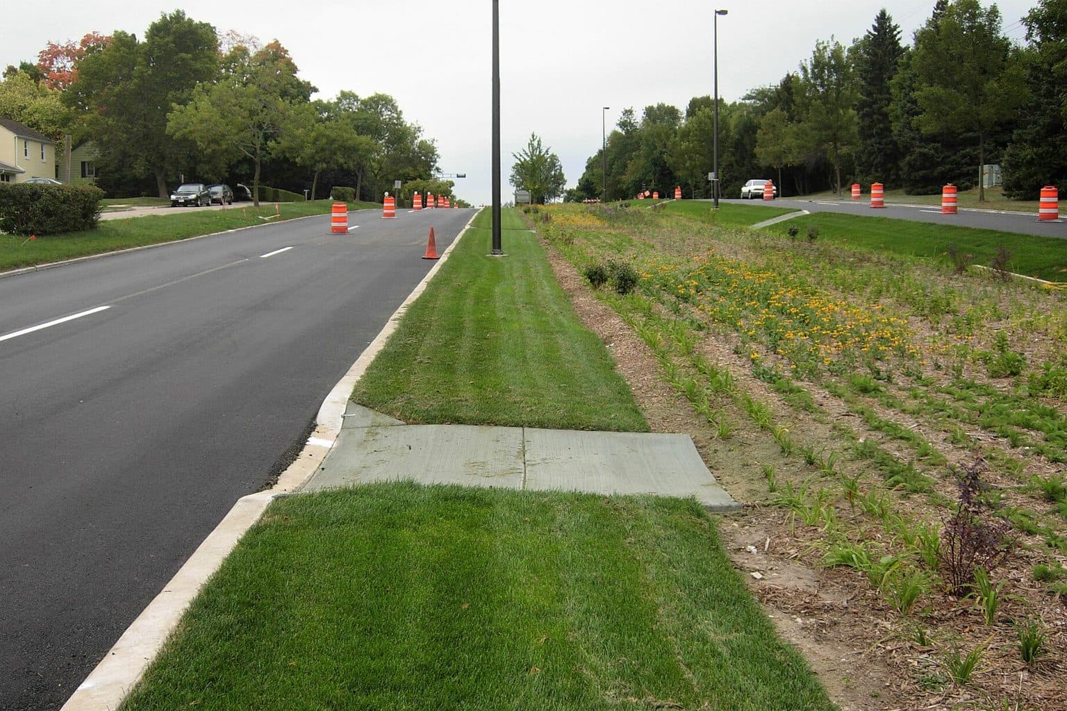A street with a mowed grass strip along the sidewalk and a wide planted swale of native perennials behind it