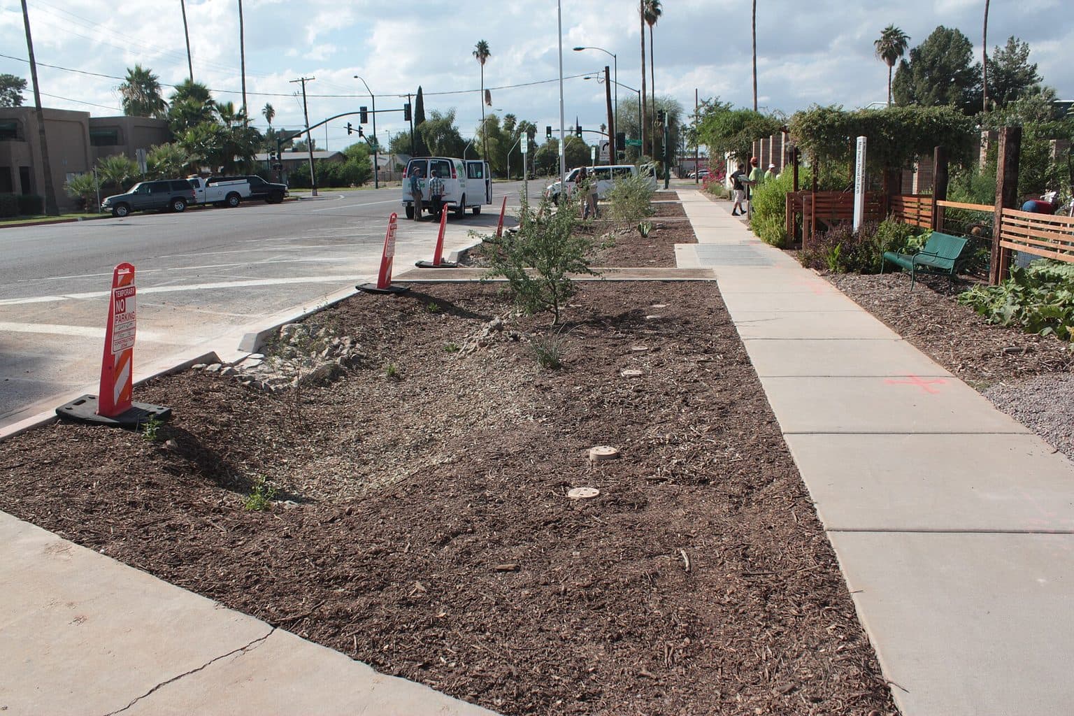A freshly converted strip of mulched ground with young desert shrubs beside a sidewalk and a city street
