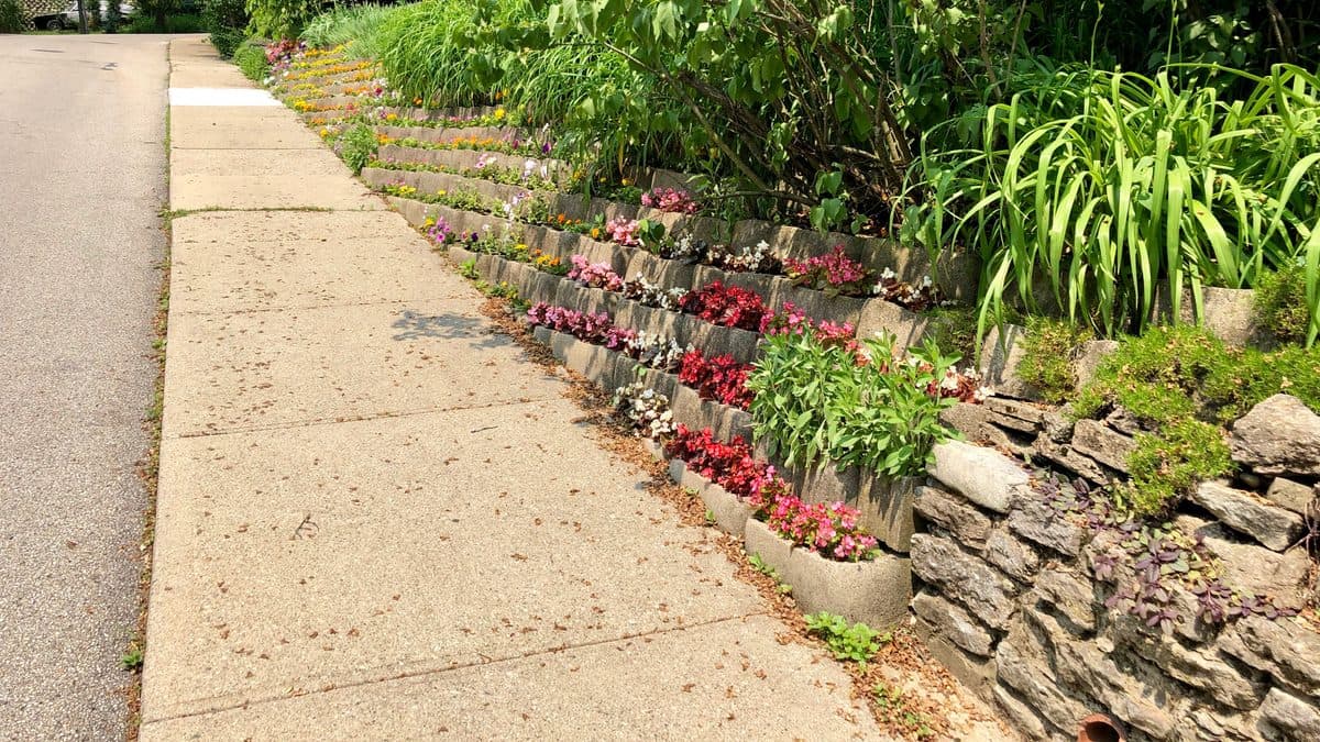 A terraced garden with stone retaining walls