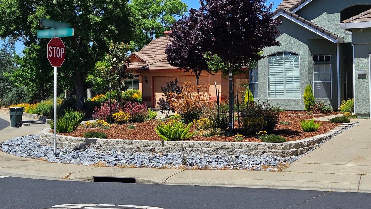 A residential front yard with a gravel bed, low rock border, and mixed drought-tolerant shrubs and perennials beside a driveway and stop sign