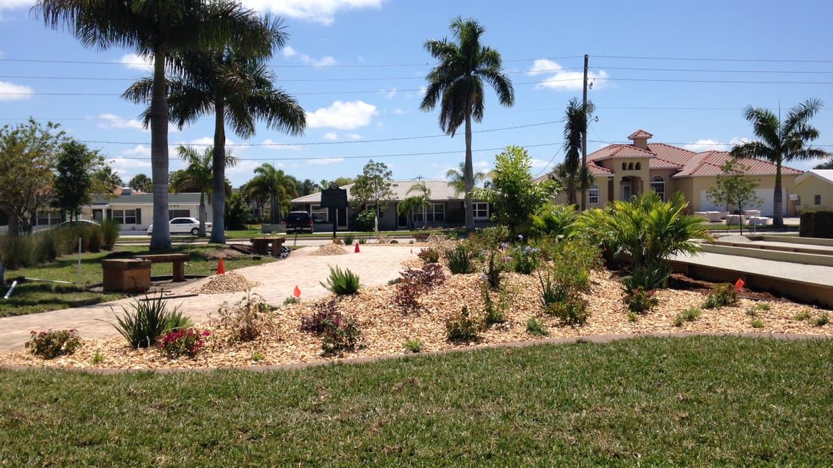 A Florida front yard with a mulched and rock-edged planting bed of low native and drought-tolerant plants beside a palm-lined street