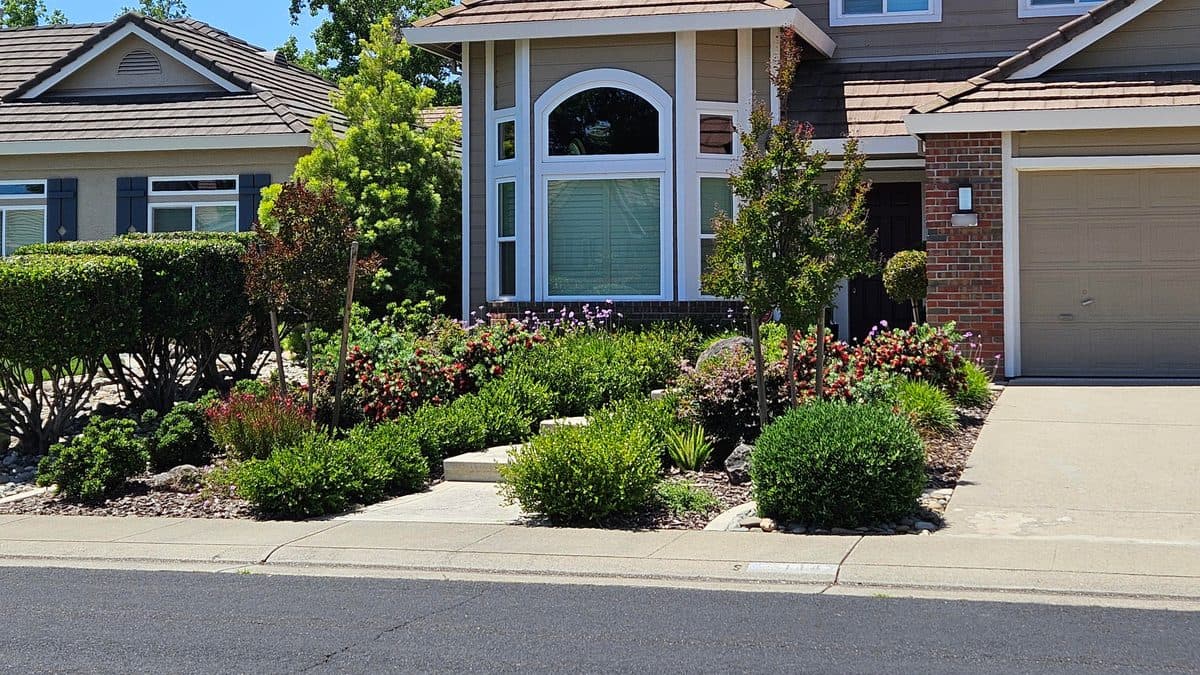 A house front yard planted with shrubs and mulch instead of lawn