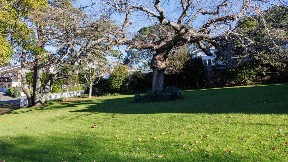 A mowed lawn in front of a house