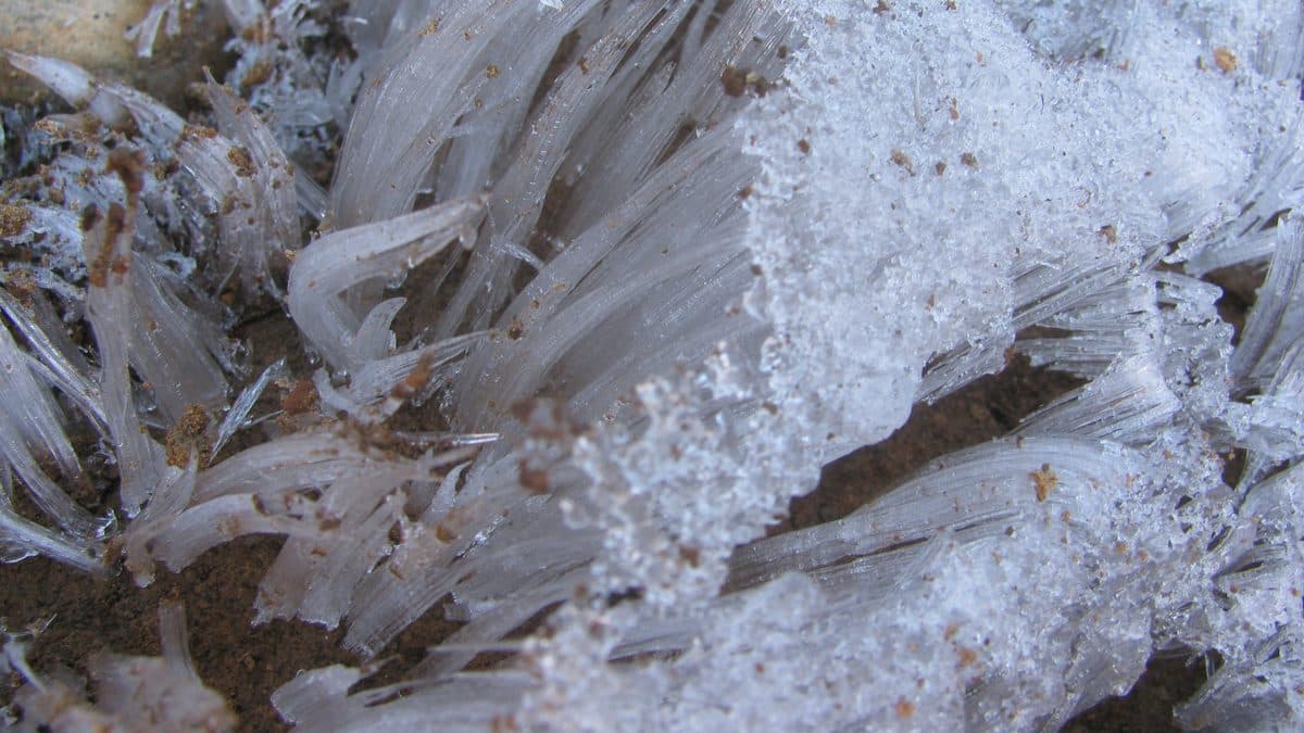 Close-up of long, clear ice needles pushing up out of brown soil, crusted with frost and specks of dirt