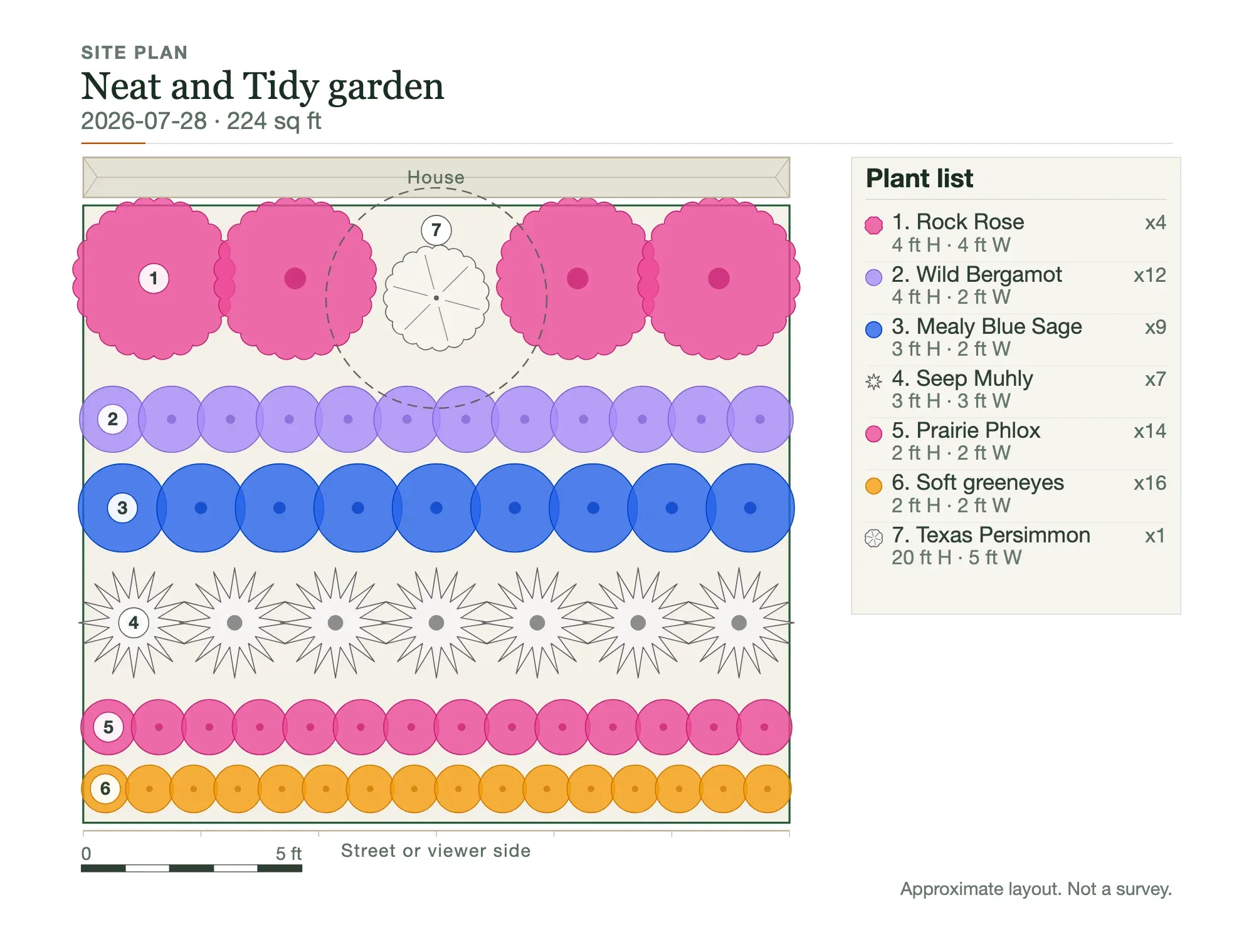 A to-scale site plan for a 224 square foot native bed between the house and the street: numbered rows of rock rose, wild bergamot, mealy blue sage, seep muhly, prairie phlox and soft greeneyes around one Texas persimmon, with a plant list and counts