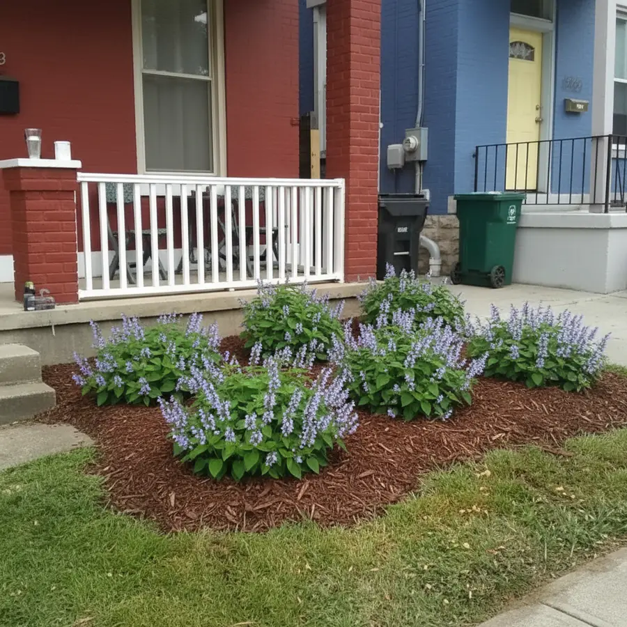 A front yard replanted with native plants in a Patch Vision preview (Heartleaf Skullcap)