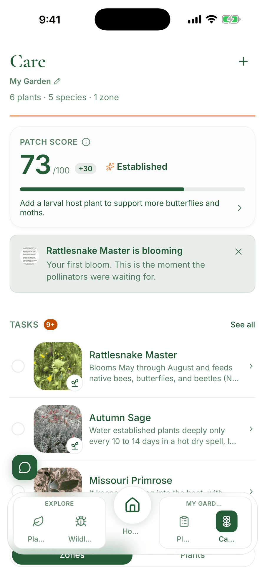 The Care tab in Pollinator Patch showing watering tasks and garden plants