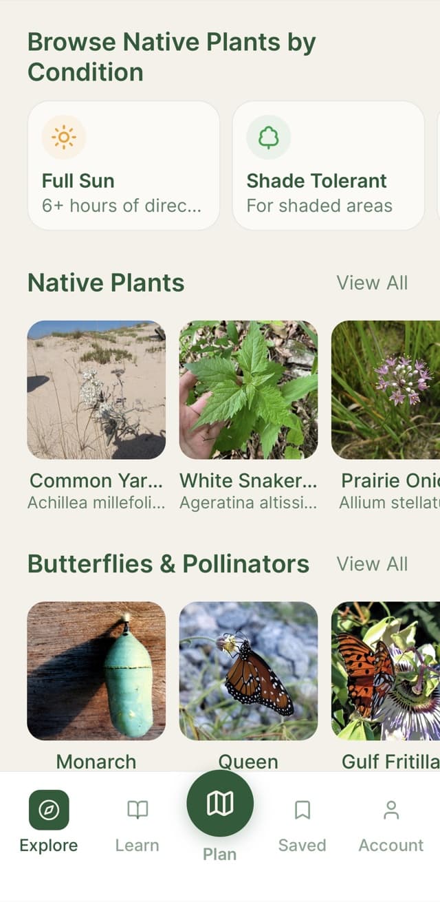 Pollinator Patch app showing the Explore tab with native plant recommendations
