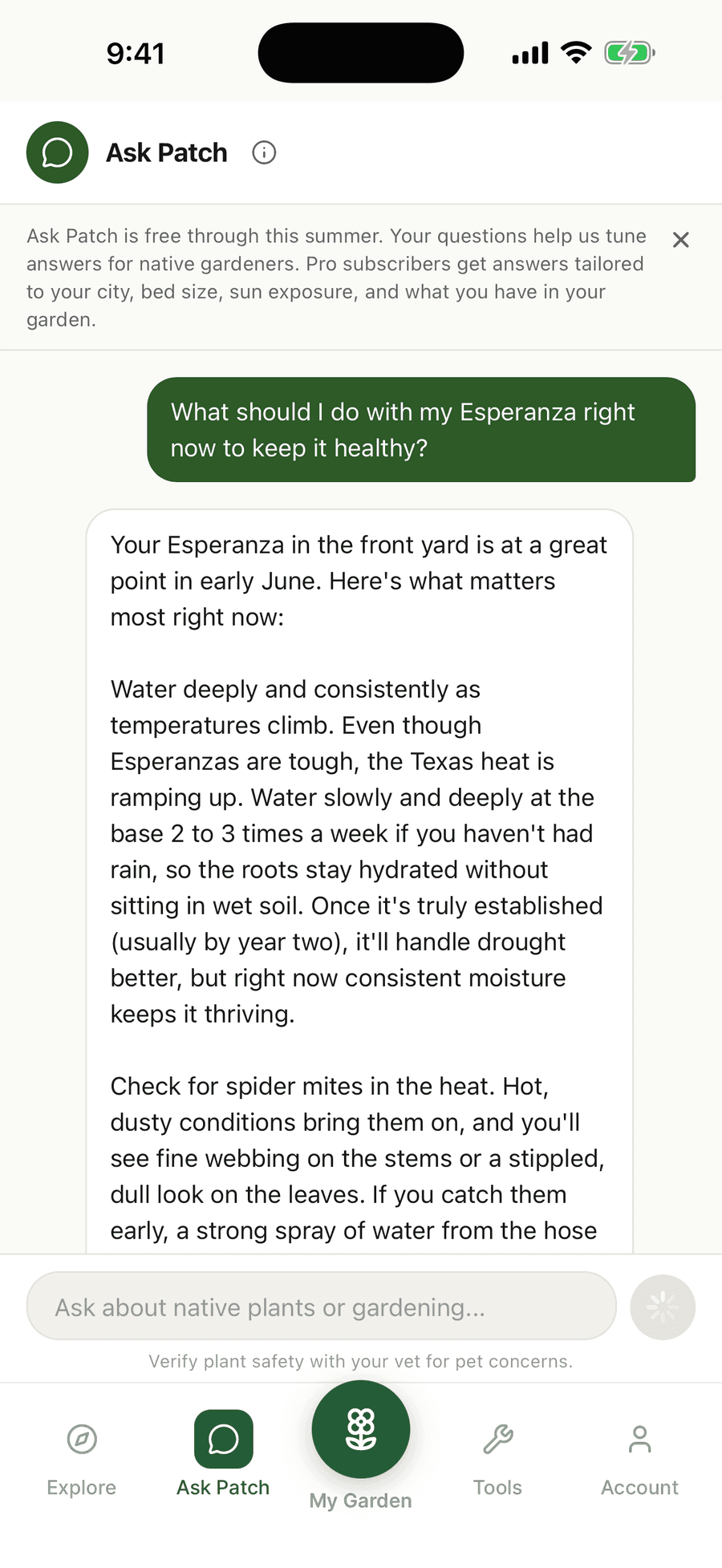 Ask Patch conversation answering a native plant care question